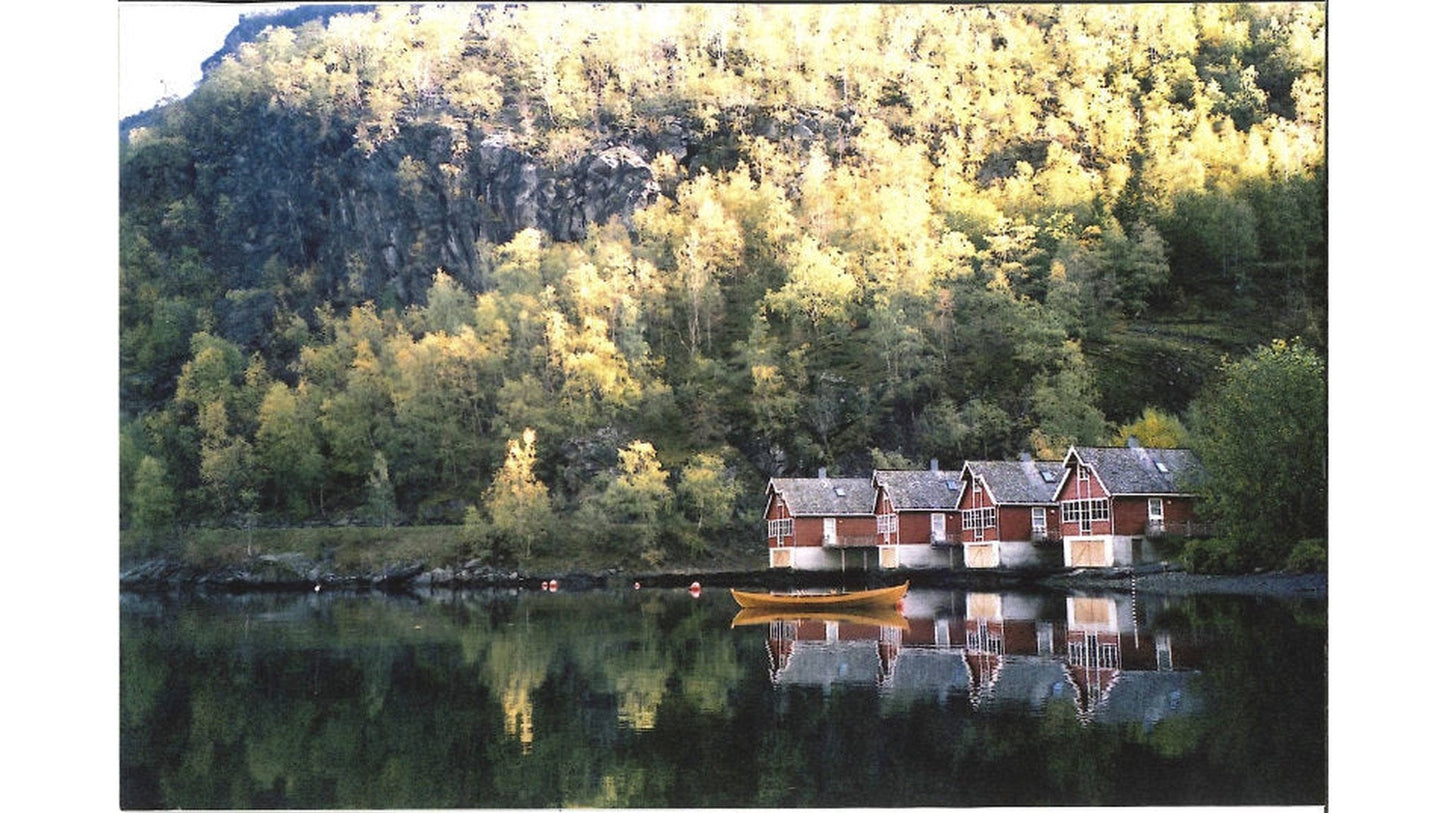 Konica Zup 110