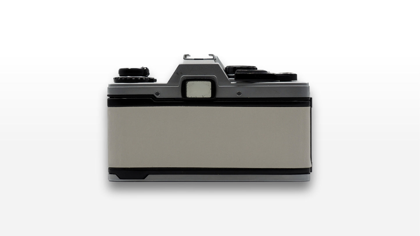 Olympus OM10 (Custom Summer)